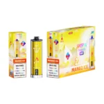 13 Mango Ice JNR Shisha Hookah Max 22000 Puffs Disposable Vape