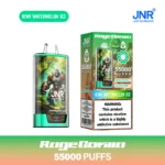 8-Kiwi Watermelon Ice JNR Rage Grilla 55000 Puffs Disposable Vape