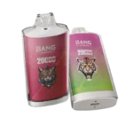 Bang Leader 20000 Puffs Disposable Vape #1