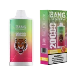 Bang Leader 20000 Puffs Disposable Vape #2