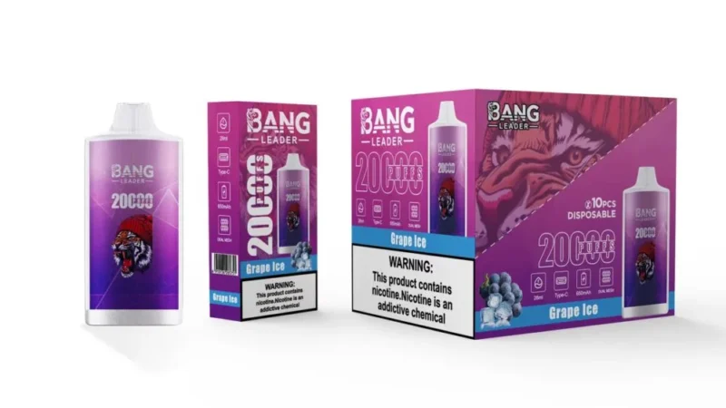 Bang Leader 20000 Puffs Disposable Vape #5