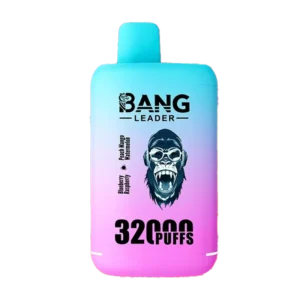 Bang Leader 32000 Puffs Disposable Vape #1