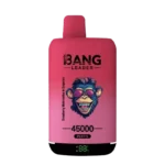 Bang Leader 45000 Puffs Disposable Vape #1