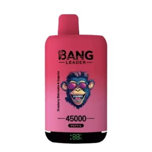 Bang Leader 45000 Puffs Disposable Vape #1