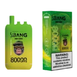 Bang Leader 80000 Puffs Disposable Vape #4