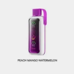 PEACH MANGO WATERMELON Vozol Star 20000 Puffs Disposable Vape #7