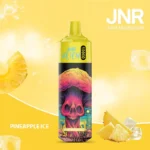Pineapple-Ice-JNR Alien 10000 Puffs Disposable Vape