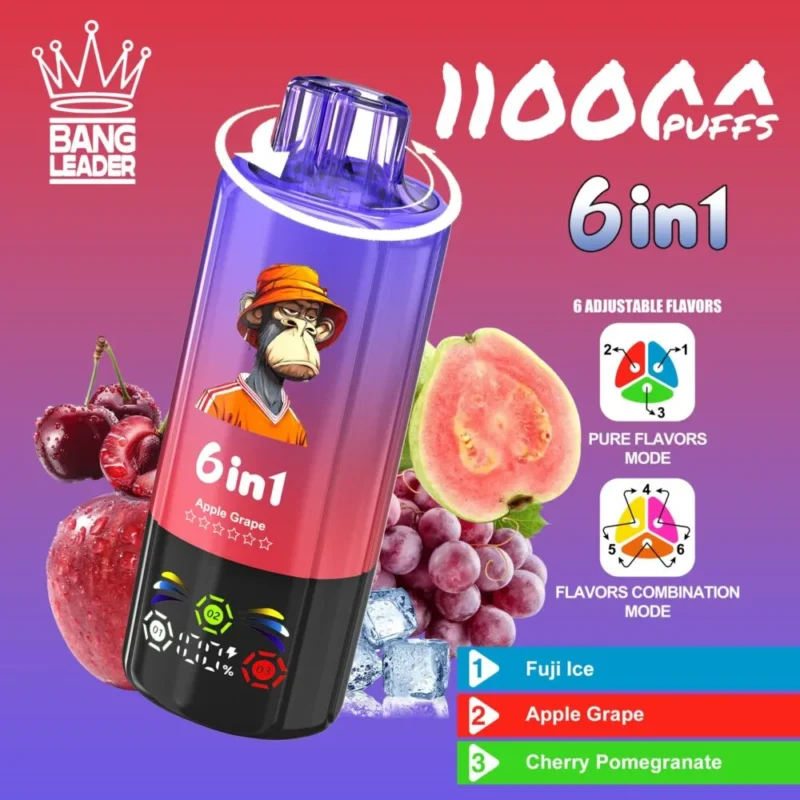 Puff 110k BANG LEADER 110000 Puffs Disposable Vape-fuji-iceapple-grapecherry-pomegranate