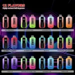 Puff 25k Bang 25000 Puffs Einweg-Vape LED Display-Bang-25000.jpg