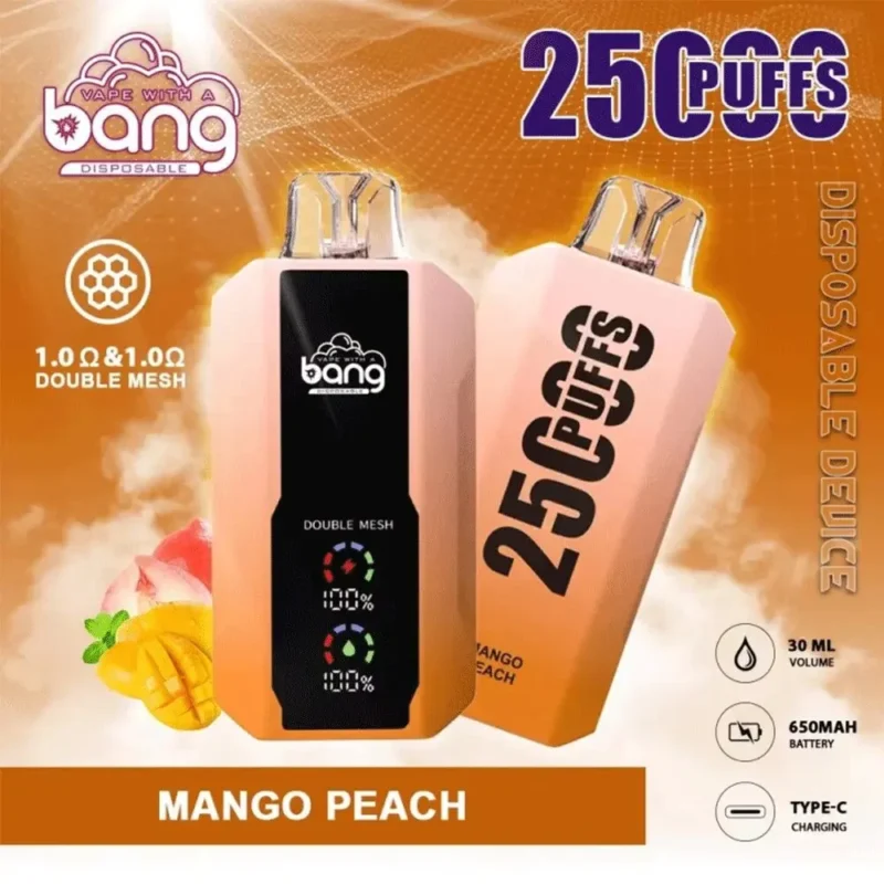 Puff 25k Bang 25000 Puffs Einweg-Vape LED Display-Mango-Pfirsich.jpg