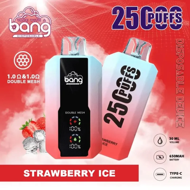 Puff 25k Bang 25000 Puffs Einweg-Vape LED Display-Erdbeer-Eis.jpg