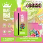 Puff 40k Bang Blaze 40000 Puffs Disposable Vape Dual Flavor-raspberry-watermelon-aloe-vera-grape.jpg