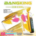 Puff 60k Bang King Ice Cool 60000 Puffs Disposable Vape Adjustable Cooling sour-lush-gummy-1.jpg