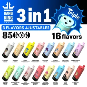 Puff 85k Bang King 85000 Puffs Disposable Vape 3 in 1 Flavors-flavor-list.jpg