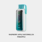 RASPBERRY APPLE WATERMELON PINEAPPLE Vozol Star 20000 Puffs Disposable Vape #8