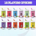 Vape 60k Bang DE 60000 Puffs Vape jetable 3 IN 1 Flavors Mini-flavor-list.jpg