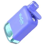 Vapsolo Twins 20000 Puffs Disposable Vape