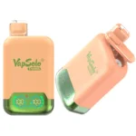 Vapsolo Twins 20000 Puffs Disposable Vape #5