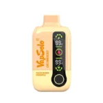 peach mango pineapple Vapsolo DG 18000 Disposable Vape 18K Puffs 28ML EU Warehouse #4