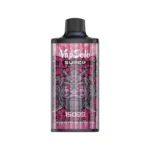 raspberry watermelon Vapsolo Super 15000 Puffs Disposable Vape #4
