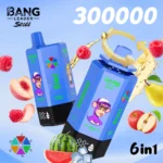 Puff 300k Bang Leader 300000 Puffs Disposable Vape - watermelon ice&mixed berries&apple pear&blueberry mint&summer time&peach