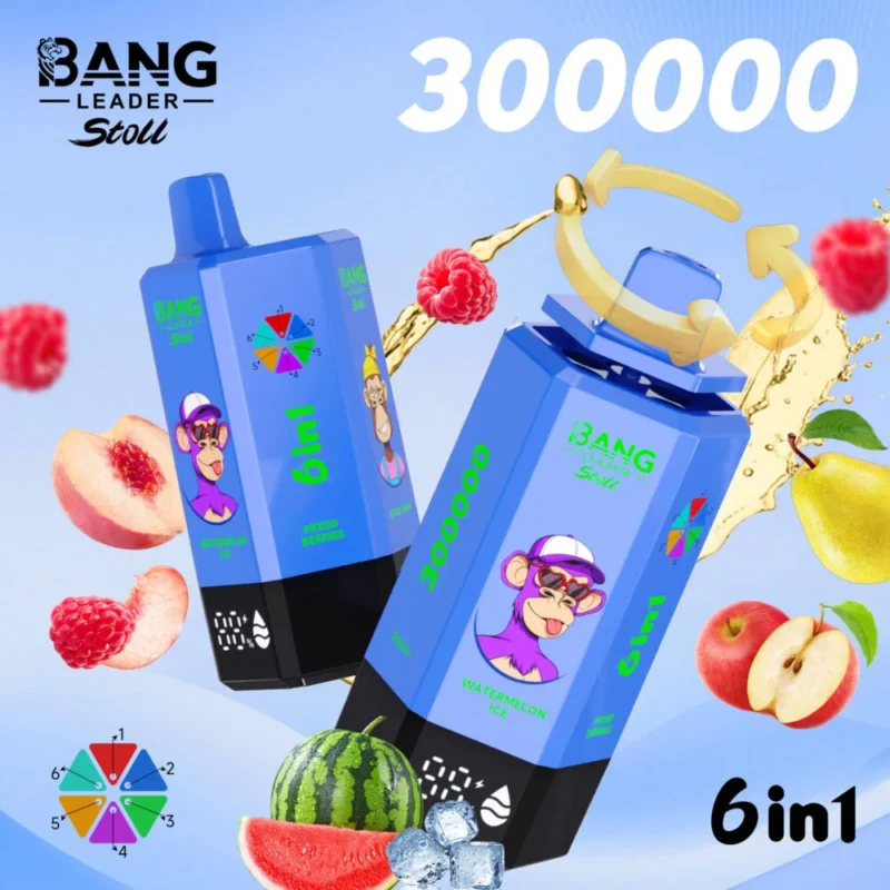 Puff 300k Bang Leader 300000 Puffs Disposable Vape - watermelon ice&mixed berries&apple pear&blueberry mint&summer time&peach