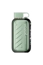 VOZOL GEAR 50000 Disposable Vape Ice & Ssweet E Cigarette - Super Mint