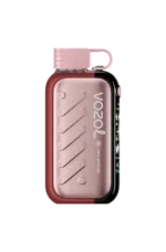VOZOL GEAR 50000 Disposable Vape Ice & Ssweet E Cigarette - Two Apples