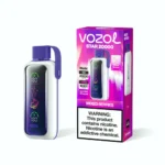 VOZOL Star 20000 20K Puffs Disposable Vape - Mixed Berries
