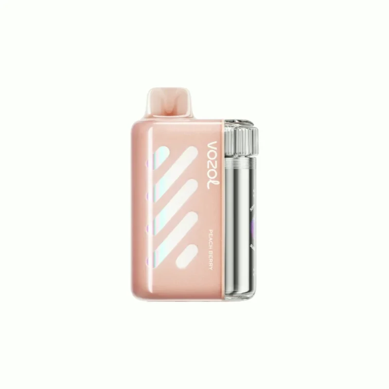 VOZOL Vista 40000 VOZOL Vista 40k Vape Adjustable EU Warehouse - PEACH BERRY (2)