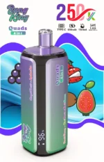 Bang king 250000 250k Puffs Bang 250k 4 in 1 Flavors New Vape (3)