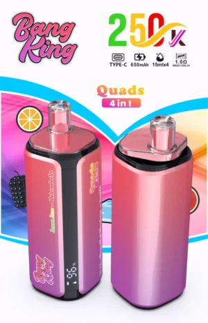 Bang king 250000 250k Puffs Bang 250k 4 in 1 Flavors New Vape