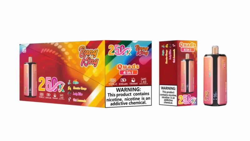Bang king 250000 250k Puffs Bang 250k 4 in 1 Flavors New Vape - Mojito Monster Mango Lady Killer Pink Lemonade