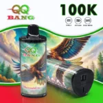 QQ BANG 100K 100000 Puffs - watermelon ice