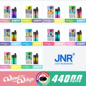 JNR WIND WHIP 44000 44K パフフレーバー一覧 (2)