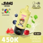 Bnag Leader 450k Vattenmelon Ice Blåbär Mint Fuji Apple Lime Romance Engångsapparat för vattenpipa