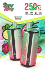 Euvapen Bang King 250k 250000 Puffs 4 In 1 Werbebild 004 Eu Lager Image Disposable Vape Device