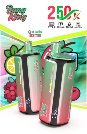Euvapen Bang King 250k 250000 Puffs 4 In 1 Werbebild 004 Eu Lager Image Disposable Vape Device