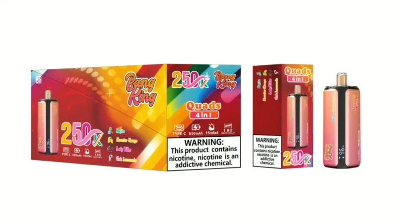 Euvapen Bang King 250k 250000 Puffs 4 In 1 Werbebild 008 Eu Lager Image Disposable Vape Device