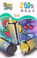 Euvapen Bang King 250k 250000 Puffs 4 In 1 Werbebild 010 Eu Lager Image Disposable Vape Device