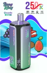 Euvapen Bang King 250k 250000 Puffs 4 In 1 Werbebild 011 Eu Lager Image Disposable Vape Device