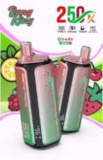Euvapen Bang King 250k 250000 Puffs 4 In 1 Werbebild 013 Eu Lager Image Disposable Vape Device