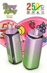Euvapen Bang King 250k 250000 Puffs 4 In 1 Werbebild 016 Eu Lager Image Disposable Vape Device