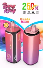Euvapen Bang King 250k 250000 Puffs 4 In 1 Werbebild 017 Eu Lager Image Disposable Vape Device