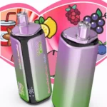 Euvapen Bang King 250k 250000 Puffs 4 In 1 Werbebild 018 Eu Lager Image Disposable Vape Device