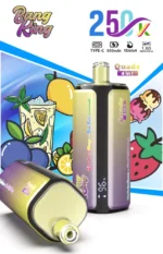 Euvapen Bang King 250k 250000 Puffs 4 In 1 Werbebild 024 Eu Lager Image Disposable Vape Device
