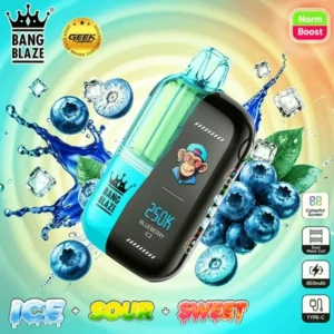 Euvapen Bang Blaze 250000 Puffs Blueberry Ice 014 Disposable Vape Device