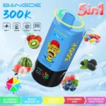 Euvapen Bang De 300000 Puffs 5 In 1 Flavor Combination 003 Disposable Vape Device