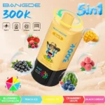 Euvapen Bang De 300000 Puffs 5 In 1 Flavor Combination 004 Disposable Vape Device