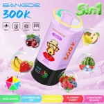 Euvapen Bang De 300000 Puffs 5 In 1 Flavor Combination 005 Disposable Vape Device